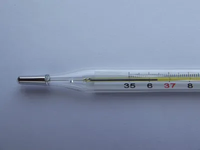 Термометр бесконтактный Berrcom178 медицинский инфракрасный цифровой  электронный градусник - купить в интернет-магазинах, цены на Мегамаркет |  термометры (градусники) JXB-178