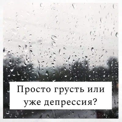 Гармония потеряна, тревожность приобретена | 27.03.2023 | Дивногорск -  БезФормата