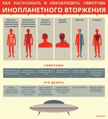 Обнаружены тела погибших инопланетян видео найденных пришельцев опубликовал  исследователь, подлинность находки подтверждена