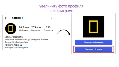 Шапка профиля в Инстаграм (2024): Что написать о себе в описании вашего  Instagram аккаунта?