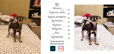 Недостатки и трудности перехода из Инсты в ВК — Ренат Янбеков на TenChat.ru