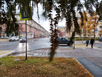 В сердце Кемерова. Имя известного краеведа хотят дать улице города |  ОБЩЕСТВО | АиФ Кузбасс