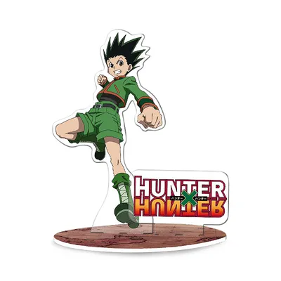 Hunter X Hunter 1: Actionreiche und mysteriöse Abenteuer auf dem Weg zur  Legende : Togashi, Yoshihiro: Amazon.de: Bücher