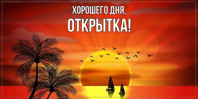 Подборка открыток с пожеланием хорошего дня | Открытки, поздравления и  рецепты | Дзен