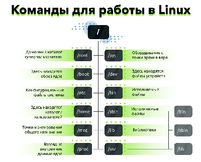 Ассессмент. Зачем проводить диагностику команды? И как сделать это с  максимальной пользой?