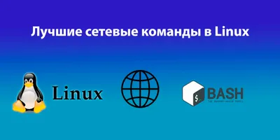 Эффективная команда: как повысить производительность труда - Brander