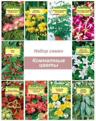 Опора для комнатных растений Inbloom \"Месяц\", 3 шт купить по низкой цене -  Галамарт