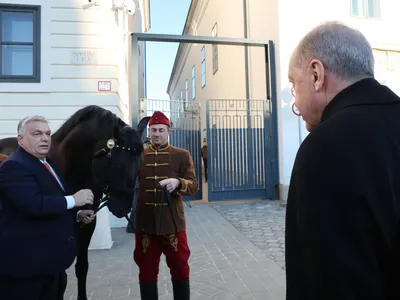 Год огнегривого коня встретили народными гуляниями хабаровчане (ФОТО;  ВИДЕО) — Новости Хабаровска