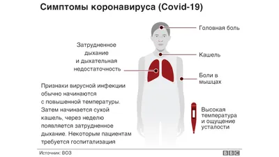 Тест на COVID-19 не выходя из дома 30 апреля - 31 декабря 2026 г. | Акции  от аптеки «Озерки» в Москве