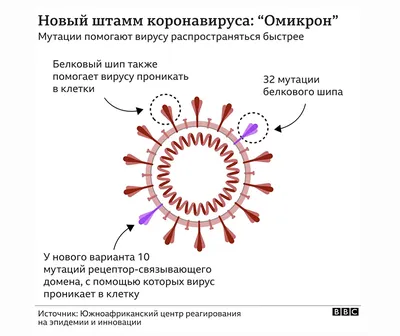 Распространение коронавируса работе больниц не угрожает | Эстония | ERR