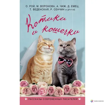 Игрушка мягкая Кошечки-собачки Дэн 38345 купить по цене 7190 ₸ в  интернет-магазине Детский мир