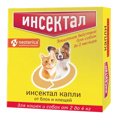 Чем можно заразиться от кошки или собаки: болезни, причины, симптомы, как  защититься