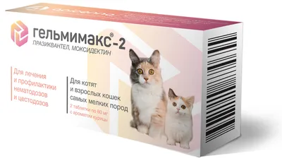 Сухой корм для котят, Purina Pro Plan Delicate Junior, с чувствительным  пищеварением, с индейкой купить с доставкой в интернет-магазине  зоогастроном.ру