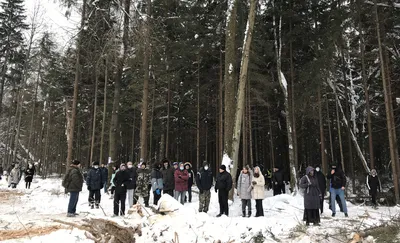 В Удмуртии восстановят более девяти тысяч гектаров леса - РИА Новости,  07.10.2021