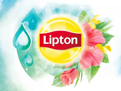 LIPTON ENCOURAGES PARENTS TO SUMMER LIKE A KID AGAIN WITH RELEASE OF \"STEAL  MY SUNSHINE\" T-PAIN COVER AND REFRESHING ICE(D) TEA POPS