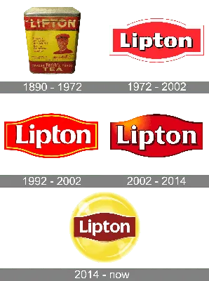 Buy Lipton Green Tea 100 bags online