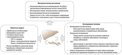 Пятничный трэш! Цирроз печени. — Сообщество «Этикет и Застольные Традиции»  на DRIVE2