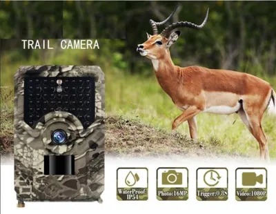 Фотоловушка Hunting PR-200 Pro 20м 49pcs IR 20м с датчиком движения 20м  12MP IP56 Камера для охраны (ID#1434696809), цена: 1359 ₴, купить на Prom.ua