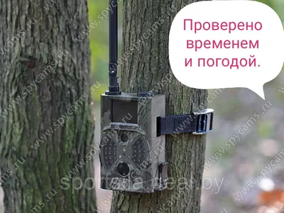 Фотоловушка Филин 250 4G (HC-801LTE) в Москве по цене 12730 рублей |  HUNTERCAM