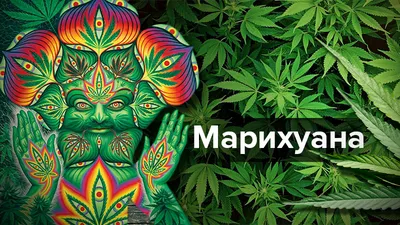 Легализация марихуаны в Германии: все, что нужно знать любителям легких  наркотиков