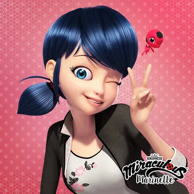 Кукла Miraculous Маринетт 14 см (39723) – купить в Киеве | цена и отзывы в  MOYO