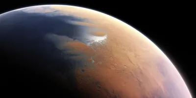 NASA нашло на поверхности Марса морду медведя