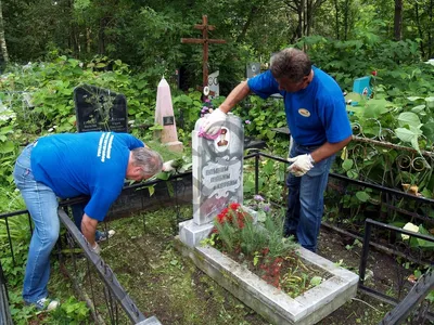 Бесплатные стоковые фото на тему кладбище, мемориальный парк, могилы,  могильник, надгробия, надгробные плиты