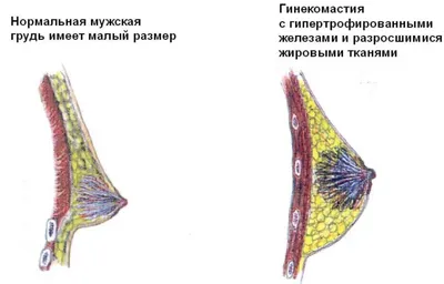 10 гормонов, которые влияют на нашу красоту - Клиника Марины Рябус