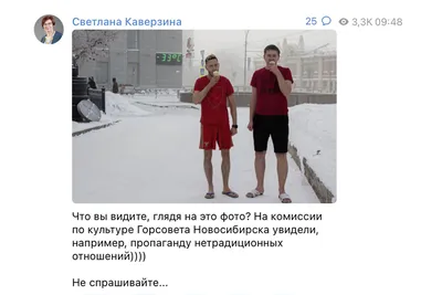 Новосибирские власти посчитали пропагандой ЛГБТ* фото двух мужчин с  мороженым - Газета.Ru | Новости