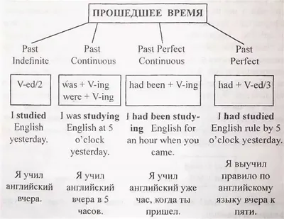 Фотообои \"Политическая карта мира на английском языке\" - Арт. 060110 |  Купить в интернет-магазине Уютная стена