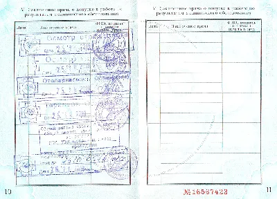 Кратко про медкнижку: - делаем фото 3*4 см - едем в центр гигиены и… | Кофе  и пряник | Дзен