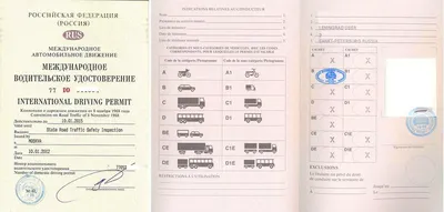Международные водительские права в России: особенности получения - Помощь в  ГИБДД