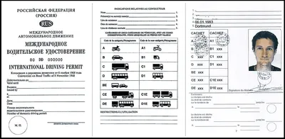 Как получить международные права и на какой срок выдаётся международное  водительское удостоверение