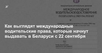 Права ли для вождения байка на Бали - подробная статья