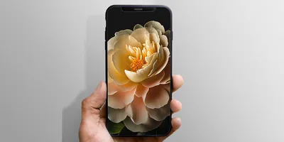 Обои iPhone 15 и 15 Pro стали доступны всем желающим - Hi-Tech Mail.ru