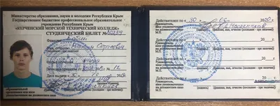 Студенческий билет ВПО (арт. 71036)