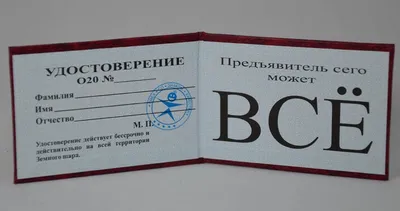 Астраханец показал полицейским полученное в подарок поддельное удостоверение  МВД | АРБУЗ