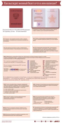 Как получить военный билет девушке? | Помощь призывникам, коллегия  адвокатов Призывник | Дзен