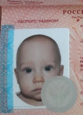 Инструкция: как получить или заменить заграничный паспорт.