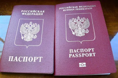 Кожаная обложка для паспорта старого образца, для загранпаспорта зеленая  (ID#1708643696), цена: 400 ₴, купить на Prom.ua