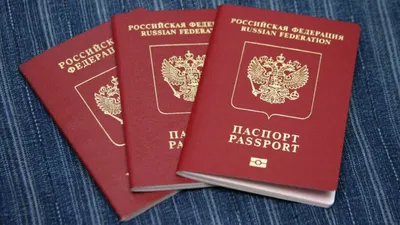 Россиянам назвали главные отличия загранпаспортов на пять и десять лет:  Россия: Путешествия: Lenta.ru