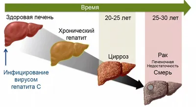 Наркотики украли мою молодость…»