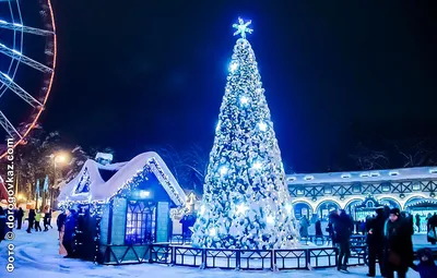 Новый год в православной семье: с чистого листа