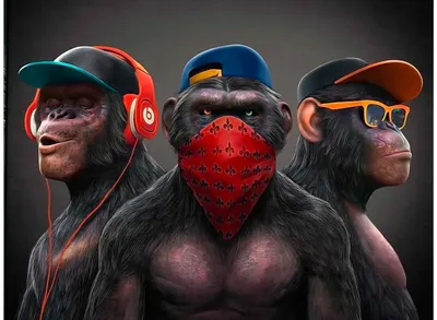 Три обезьяны арт - 71 фото