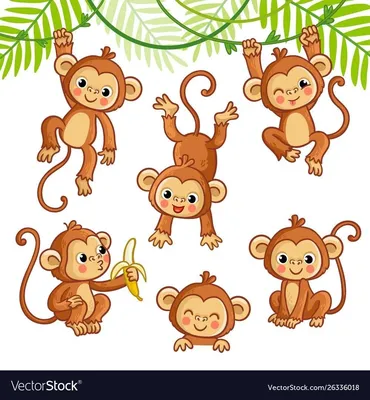 маленькая обезьянка смотрит на дерево, маленькая обезьянка, Hd фотография  фото, примат фон картинки и Фото для бесплатной загрузки
