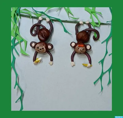Закажи печать Яркие красочные обезьянки фото животных №s34887 на холсте.