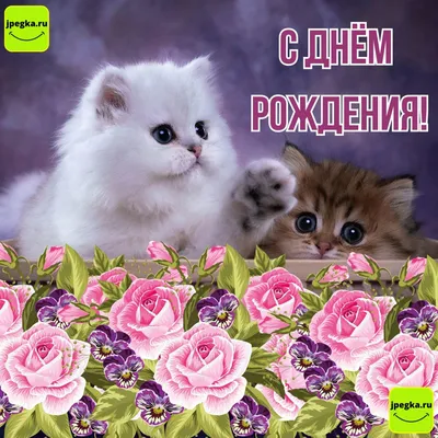 Открытка-конверт \"С Днем рождения!\" (женщине): УФ-лак (Код цены Б) – купить  по цене: 21,60 руб. в интернет-магазине УчМаг