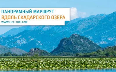 Скадарское озеро в Черногории: отзыв, фото и когда лучше ехать