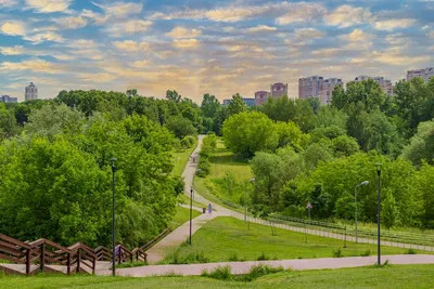 Парк имени 50-летия Октября в городе Москва