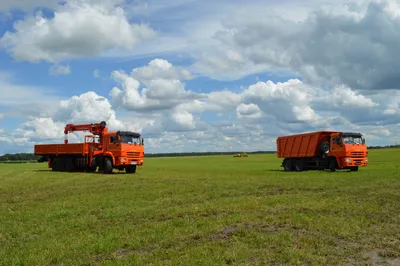 Лавандовые поля | Лучшие локации для фотосессий | GreenPost